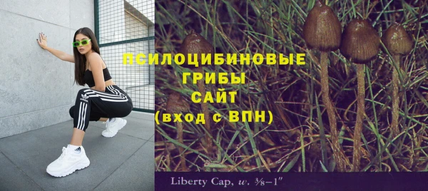 бошки Верхнеуральск