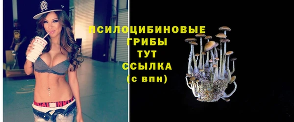 стафф Верхний Тагил