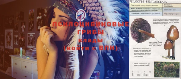 стафф Верхний Тагил