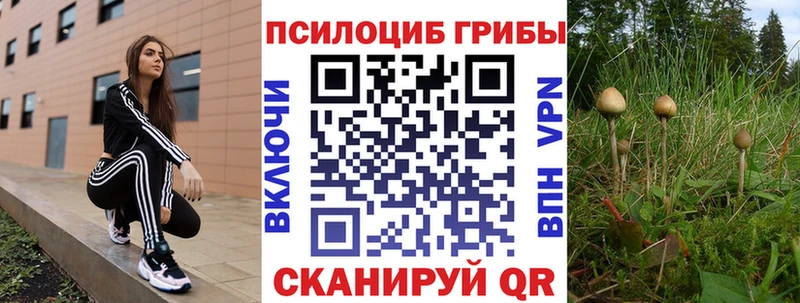Псилоцибиновые грибы ЛСД купить наркотик Дербент